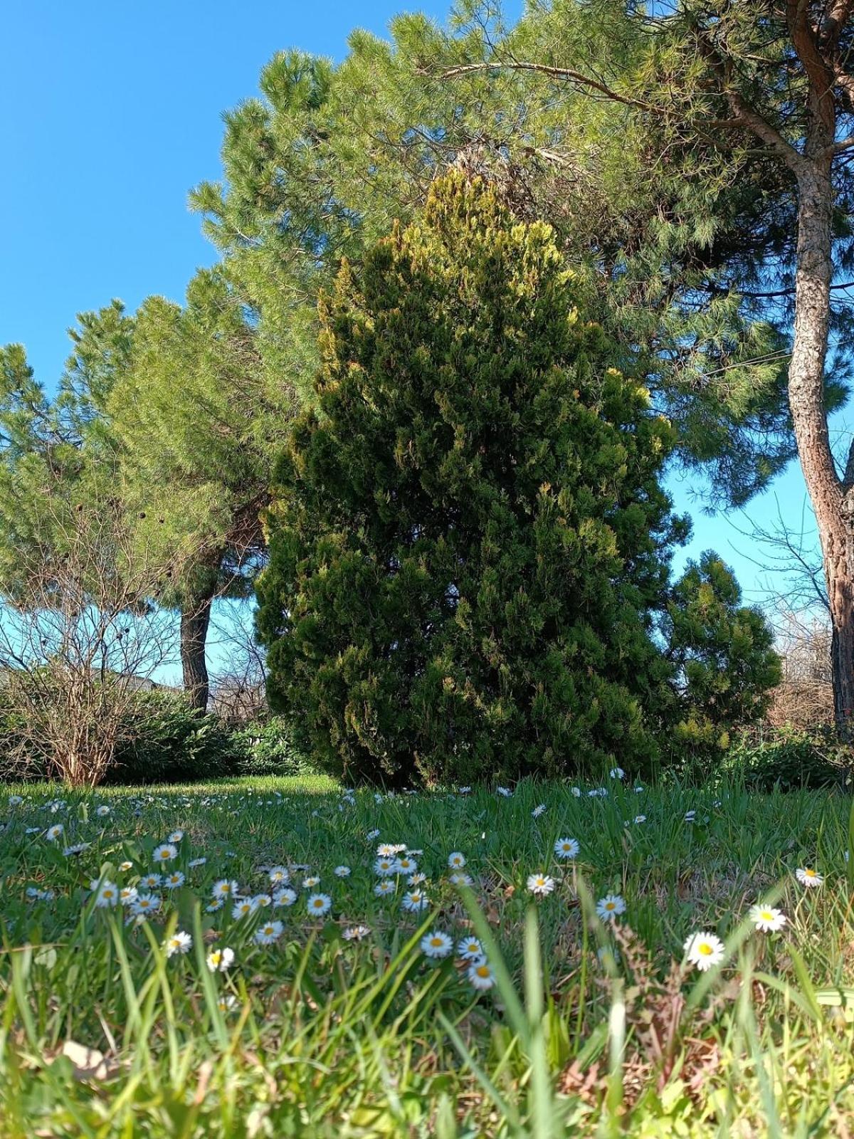 Capricornio Club Diffuso Casa Carlotta Villa Santa Maria della Versa Exteriör bild